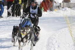 Lenk 2012 SM